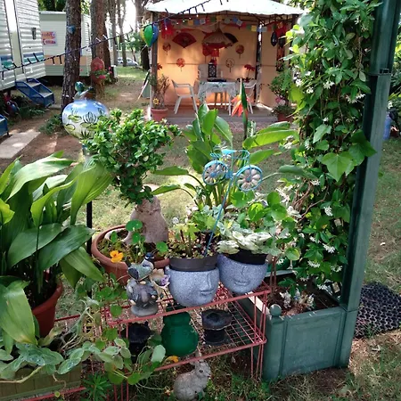 度假村 Belvedere Homes 阿奎莱亚